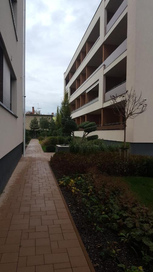 Big Forest Apartman Διαμέρισμα Ντέμπρετσεν Εξωτερικό φωτογραφία